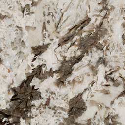bianco antico granite - Hopatcong nj